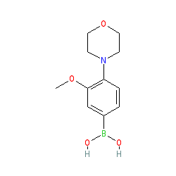3-Methoxy-4-morpholinobenzeneboronic acid