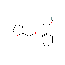 (3-((Tetrahydrofuran-2-yl)methoxy)pyridin-4-yl)boronic acid