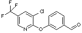 3-{[3-Chloro-5-(trifluoromethyl)-2-pyridinyl]oxy}benzaldehyde