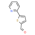 5-(Pyridin-2-yl)thiophene-2-carbaldehyde 5-(Pyridin-2-yl)thiophene-2-carbaldehyde