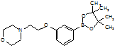 4-{2-[3-(4,4,5,5-Tetramethyl[1,3,2]dioxaborolan-2-yl) phenoxy]ethyl}morpholine