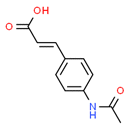 3-[4-(Acetylamino)phenyl]acrylic acid