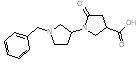 1'-Benzyl-5-oxo-1,3'-bipyrrolidine-3-carboxylic acid