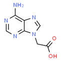 (6-Amino-9H-purin-9-yl)acetic acid