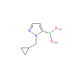 1-(Cyclopropylmethyl)-1H-pyrazole-5-boronic acid