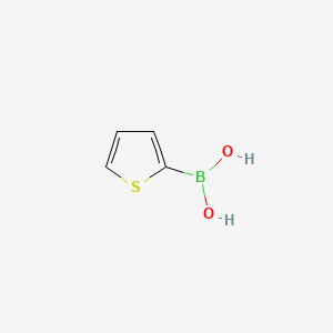 Thiophene-2-boronic acid