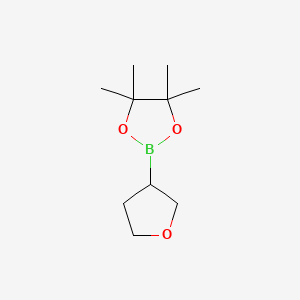 4,4,5,5-Tetramethyl-2-(tetrahydrofuran-3-yl)-1,3,2-dioxaboralane
