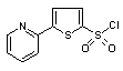 5-(2-Pyridyl)thiophene-2-sulfonyl chloride